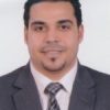 ربيع محمد محمود